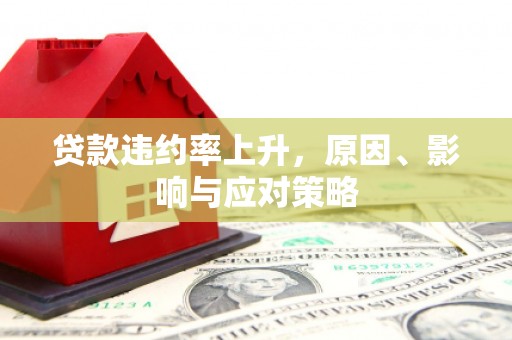 怀集贷款违约率上升，原因、影响与应对策略