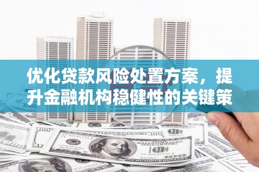怀集优化贷款风险处置方案，提升金融机构稳健性的关键策略