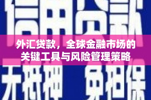 怀集外汇贷款，全球金融市场的关键工具与风险管理策略