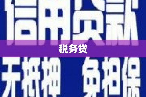 怀集税务贷