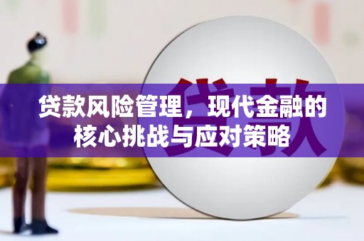 怀集贷款风险管理，现代金融的核心挑战与应对策略