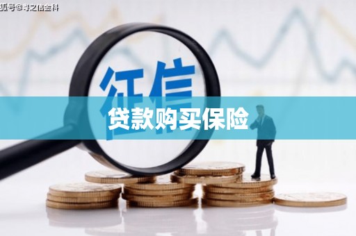 怀集贷款购买保险