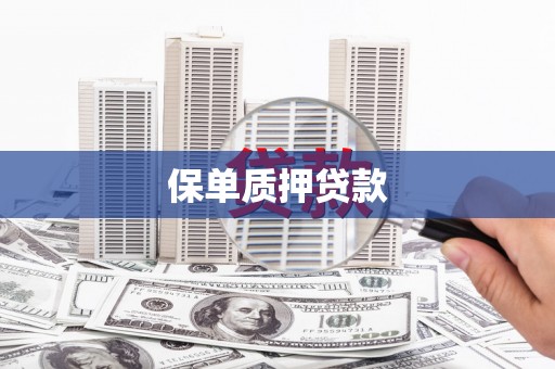 怀集保单质押贷款