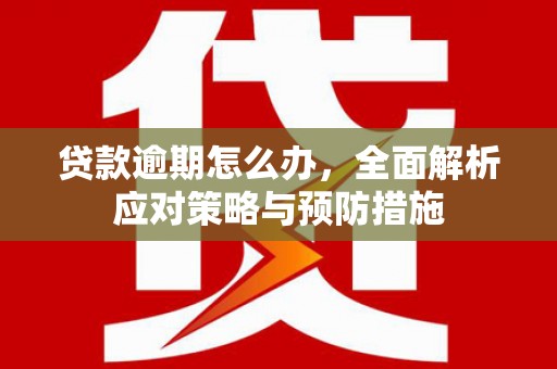 怀集贷款逾期怎么办，全面解析应对策略与预防措施
