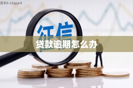 怀集贷款逾期怎么办