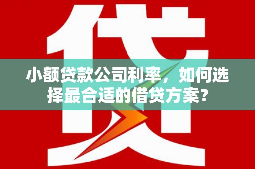 怀集小额贷款公司利率，如何选择最合适的借贷方案？