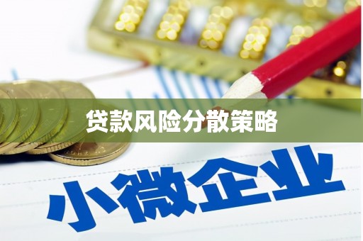 怀集贷款风险分散策略