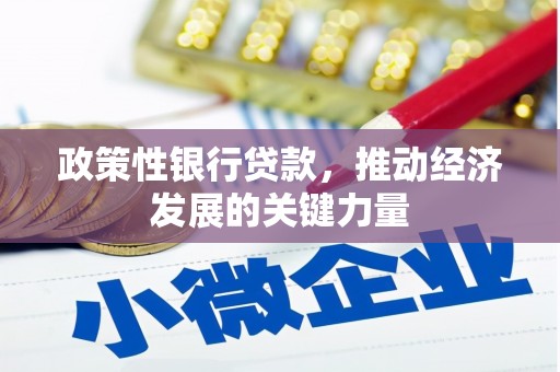 怀集政策性银行贷款，推动经济发展的关键力量