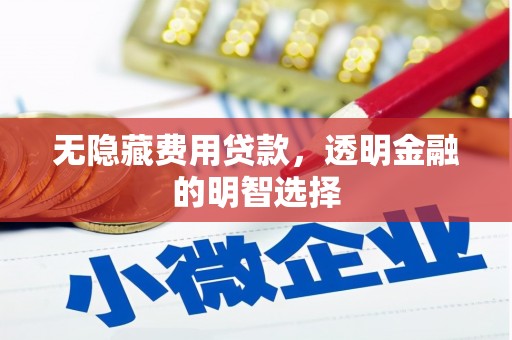 怀集无隐藏费用贷款，透明金融的明智选择