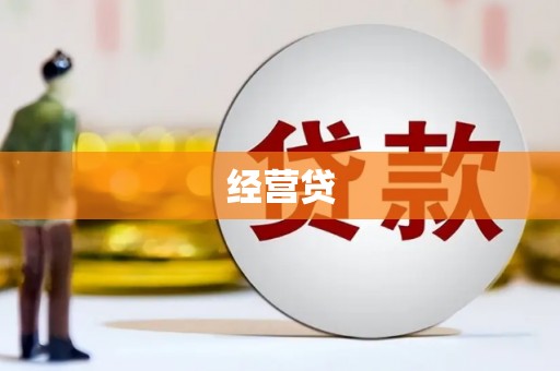 怀集经营贷