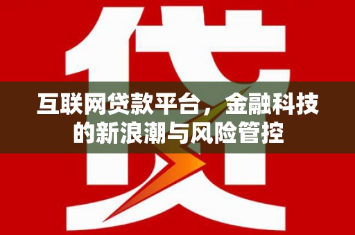 怀集互联网贷款平台，金融科技的新浪潮与风险管控