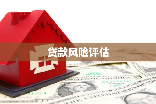 怀集贷款风险评估