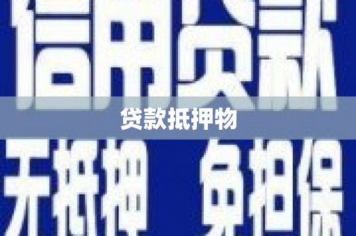 怀集贷款抵押物