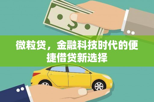 怀集微粒贷，金融科技时代的便捷借贷新选择