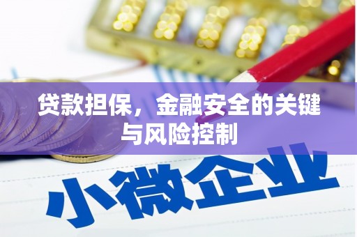 怀集贷款担保，金融安全的关键与风险控制