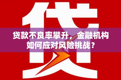 怀集贷款不良率攀升，金融机构如何应对风险挑战？