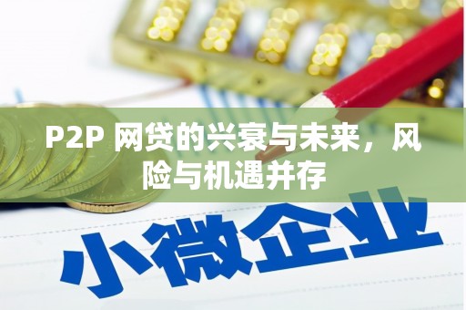 怀集P2P 网贷的兴衰与未来，风险与机遇并存