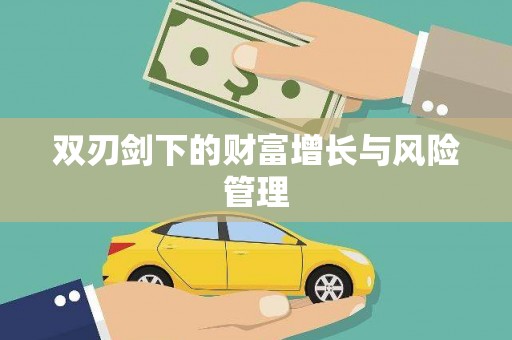 怀集双刃剑下的财富增长与风险管理