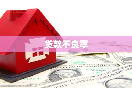 怀集贷款不良率