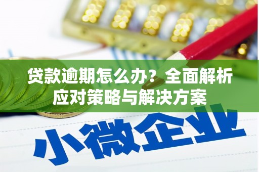 怀集贷款逾期怎么办？全面解析应对策略与解决方案