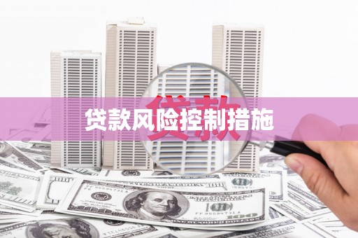 怀集贷款风险控制措施