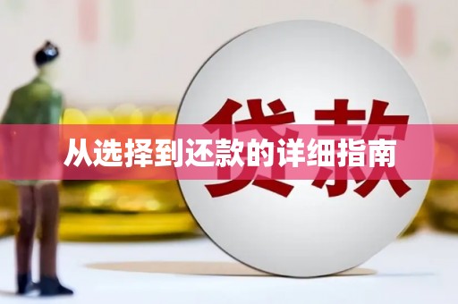怀集从选择到还款的详细指南