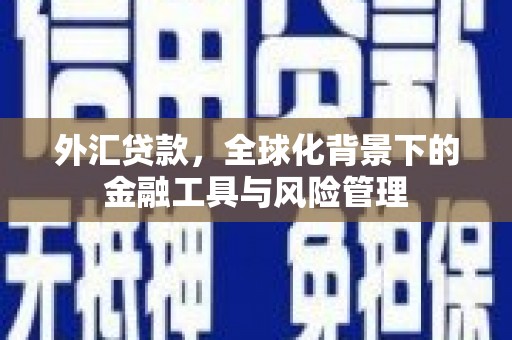 怀集外汇贷款，全球化背景下的金融工具与风险管理