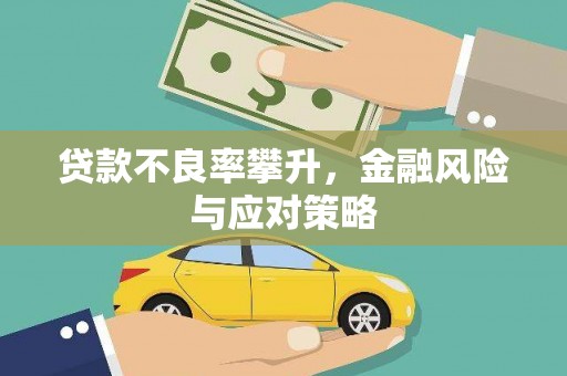 怀集贷款不良率攀升，金融风险与应对策略